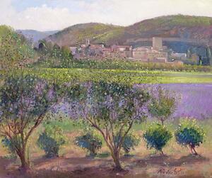 Timothy Easton - Fine Art Print Lavender Seen Through Quince Trees, Monclus, (40 x 35 cm)