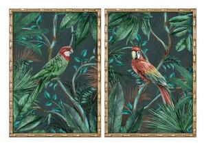 Painting Home ESPRIT Green Parrot Tropical 50 x 2,8 x 70 cm (2 Units)
