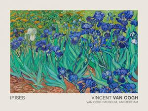 Fine Art Print Irises (Museum Vintage Floral / Flower Landscape) - Vincent van Gogh, (40 x 30 cm)