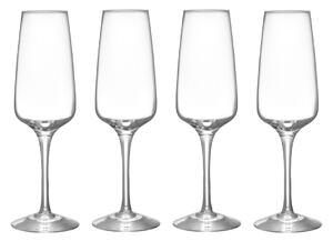 Orrefors Pulse champagne glass 28 cl 4-pack Clear