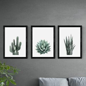 Set of 3 East End Prints Succulent Gallery Wall Prints Green
