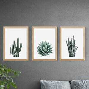 Set of 3 Succulent Gallery Wall Prints Green