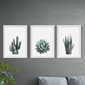 Set of 3 East End Prints Succulent Gallery Wall Prints Green