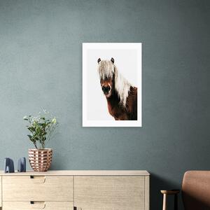 Horse Print Brown