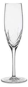 Magnor Alba champagne glass 25 cl Clear