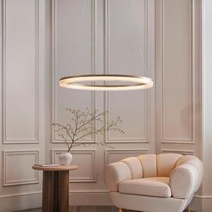 Bemidji LED Round Metal Pendant Light In Brushed Gold Plated