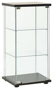 Absecon Black Shoe Storage Cabinet With Tempered Glass Frame