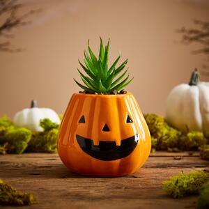 Artificial Succulent in Pumpkin Plant Pot Orange