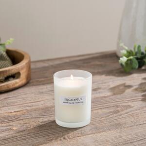 Wellness Soy Eucalyptus Candle White