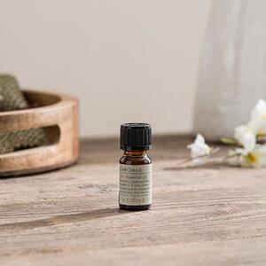 Chamomile Essential Oil, 10ml Clear