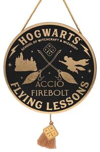 Harry Potter Flying Lesson Hanging Plaque