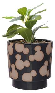 Artificial Plant in Disney Mickey Mouse Black Ceramic Plant Pot