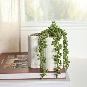 Artificial Trailing Plant in Disney Mickey Mouse Shaped Plant Pot