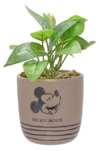 Artificial Plant in Disney Mickey Mouse Brown Ceramic Plant Pot