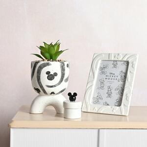 Artificial Plant in Disney Mickey Mouse Arched Footed Plant Pot