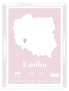 The Map baby rose birth metrics