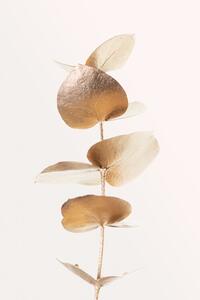 Art Print Eucalyptus Gold No 06, Studio Collection