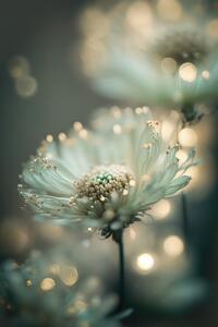Photography Mint Flower, Treechild