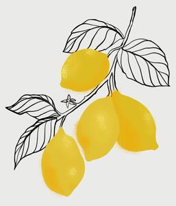 Illustration Lamya lemons, Blursbyai, (30 x 40 cm)