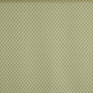 Prestigious Textiles Billy Fabric Cucumber