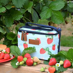 Strawberries & Cream Vintage Aqua Insulated 5 Litre Personal Picnic Cool Bag Aqua