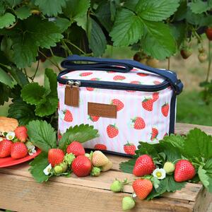 Strawberries & Cream Candy Stripe Insulated 5 Litre Personal Picnic Cool Bag Blue
