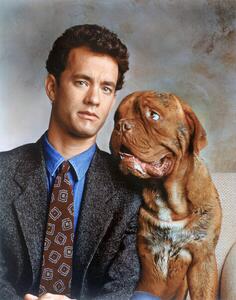 Photography Tom Hanks, Turner & Hooch 1989 Directed By Roger Spottiswoode