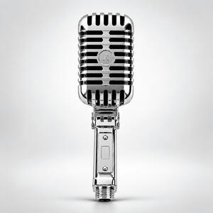 Showery® Microphone High Pressure Shower Head