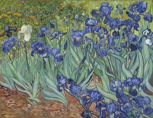 Gogh, Vincent van - Fine Art Print Irises, 1889, (40 x 30 cm)