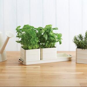 Indoor Herb Garden Kit with Tray and 3 Plant Pots