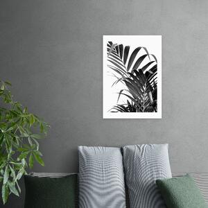 Palm Leaf 02 Print Black and white