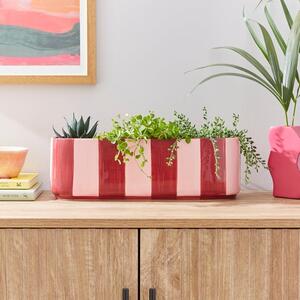 Elements Striped Ceramic Windowsill Plant Pot