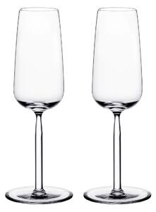 Iittala Senta champagne glass 2-pack 2-pack 21 cl