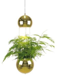 Globen Lighting Planter ceiling lamp with flower pot brass
