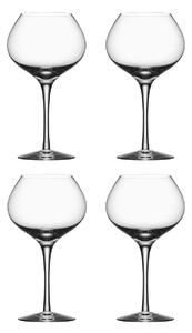 Orrefors More Mature red wine glass 4-pack 48 cl