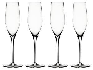 Spiegelau Authentis Champange glass 19cl. 4-pack clear