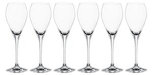 Spiegelau Party Champagne glass. 6-pack Clear