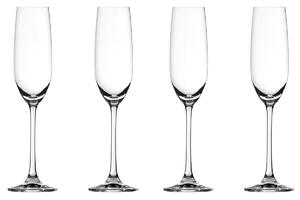 Spiegelau Salute Champagne glass 21cl. 4-pack clear