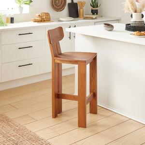 Cairo Counter Height Bar Stool, Stained Ash Dark Wood (Brown)