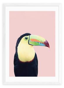 Toucan Print by Sisi and Seb MultiColoured