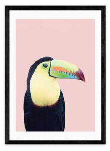 Toucan Print by Sisi and Seb MultiColoured