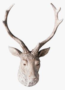 Alcott Faux Stag Wall Decoration in Weathered White