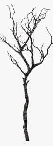 Inez Black Sparkly Branch, Set of Two