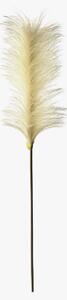 Lazni Ivory Pampas Feather Stem, Set of Five