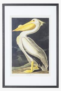 Perry Pelican Framed Wall Art