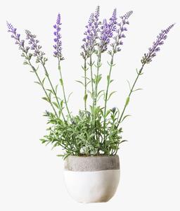 Faux Lavender in White Pot, Large