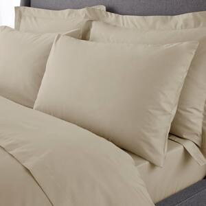 Hotel 230 Thread Count Crisp Cotton Percale Standard Pillowcase Pair