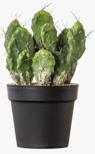 Faux Optunia Cactus in Black Pot