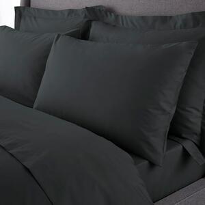 Hotel 230 Thread Count Crisp Cotton Percale Standard Pillowcase Pair