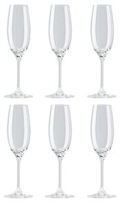 Rosenthal DiVino champagne glass 22 cl 6-pack clear
